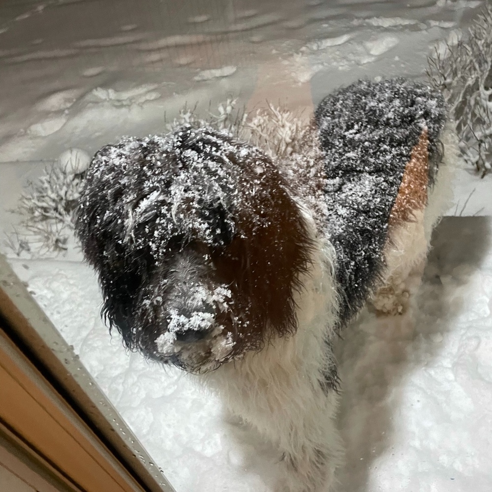 Meet your Posher, Mary